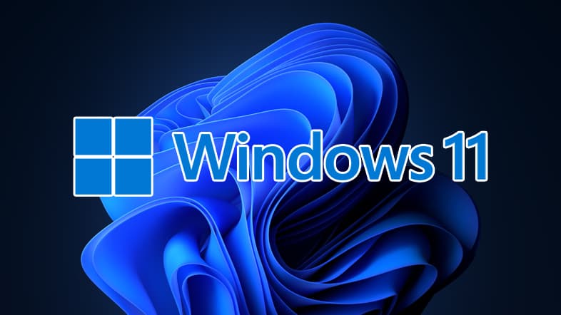 Windows11