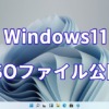 Windows11