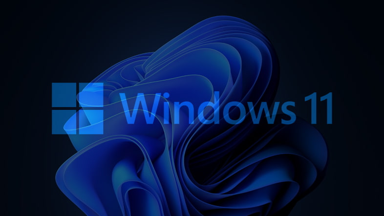 Windows11