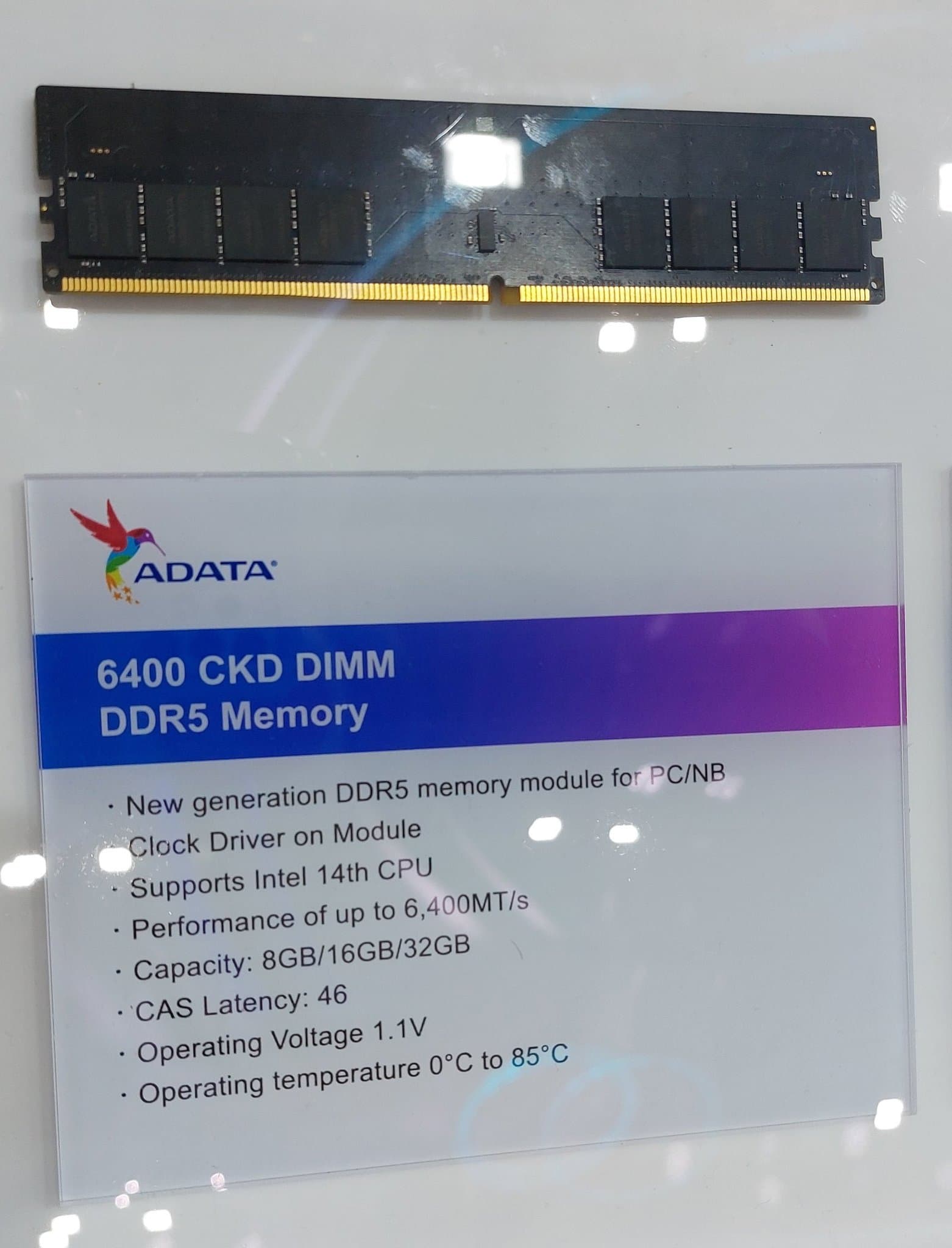COMPUTEX 2023 - ADATA DDR5-6400メモリ