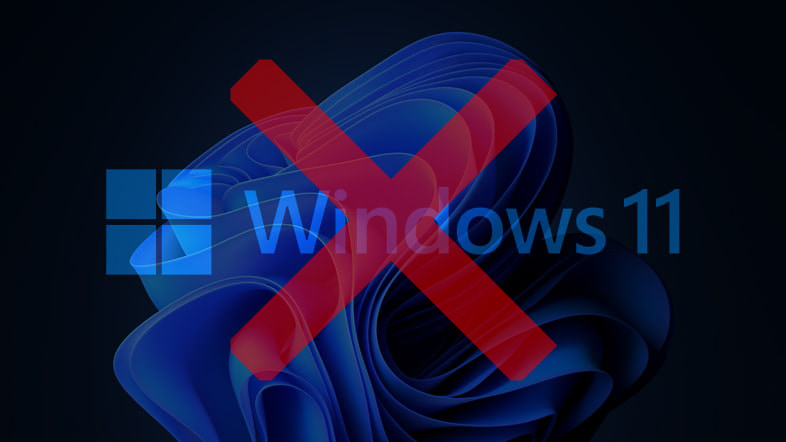 Windows11