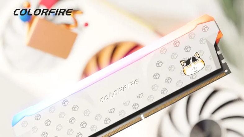Colorfire MEOW 橘影橙 DDR5 6000 16G