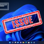 Windows11 Issue