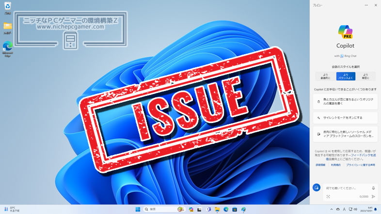 Windows11 Issue