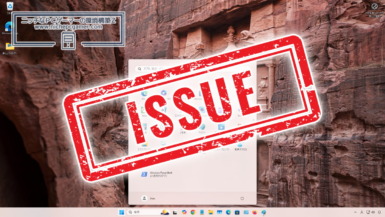 Windows11 Issue