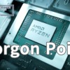 AMD Gorgon Point
