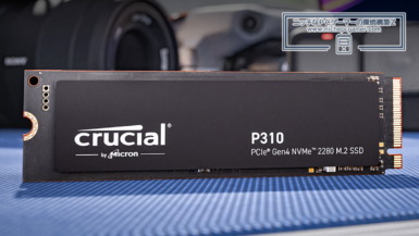 Crucial P310