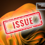 Windows11 Issue