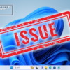 Windows11 Issue