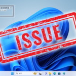 Windows11 Issue