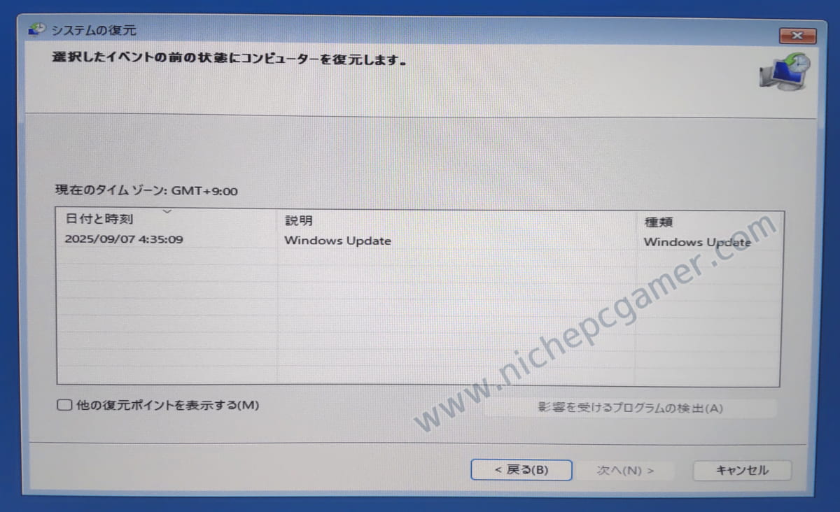 『戻したい日付』を選択して『次へ』