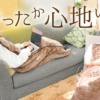 着るこたつ『ダニ対策モード付きこたんぽ』