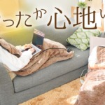 着るこたつ『ダニ対策モード付きこたんぽ』