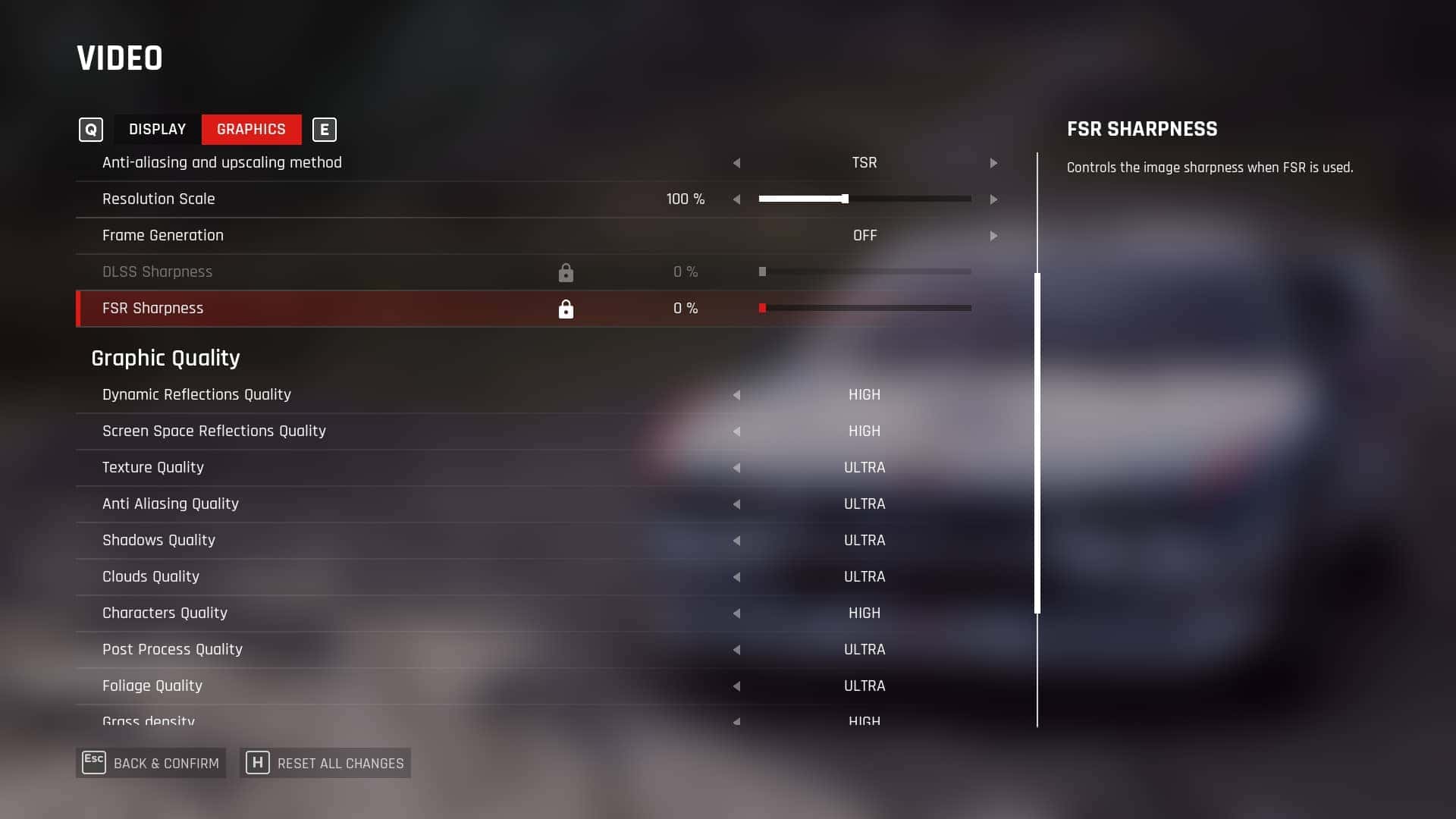 Assetto Corsa RALLY 画質設定