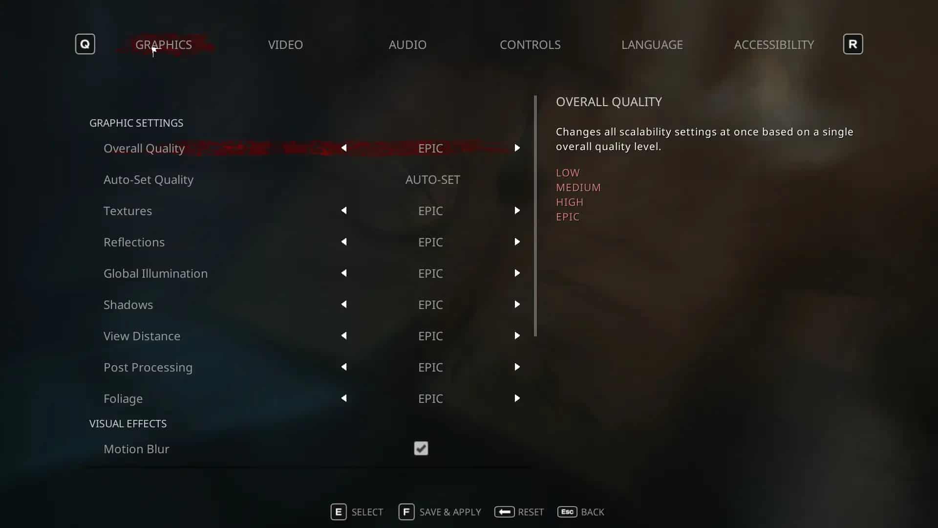 The Occultist 画質設定