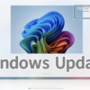 Windows11 OOBE Windows Update