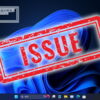 Windows11 Issue