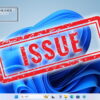 Windows11 Issue
